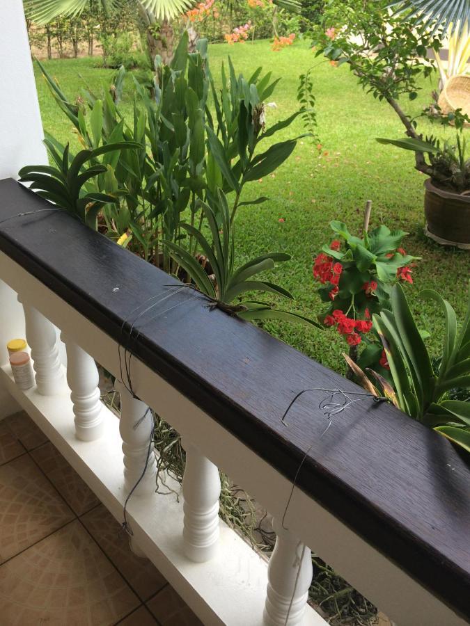 Palm Gardens Resort, Bang Saphan Eksteriør billede
